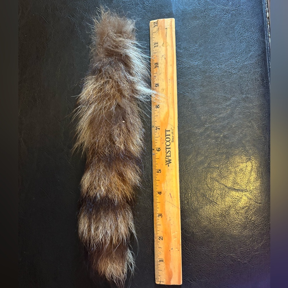 Real Raccoon Fur Tail Accessory